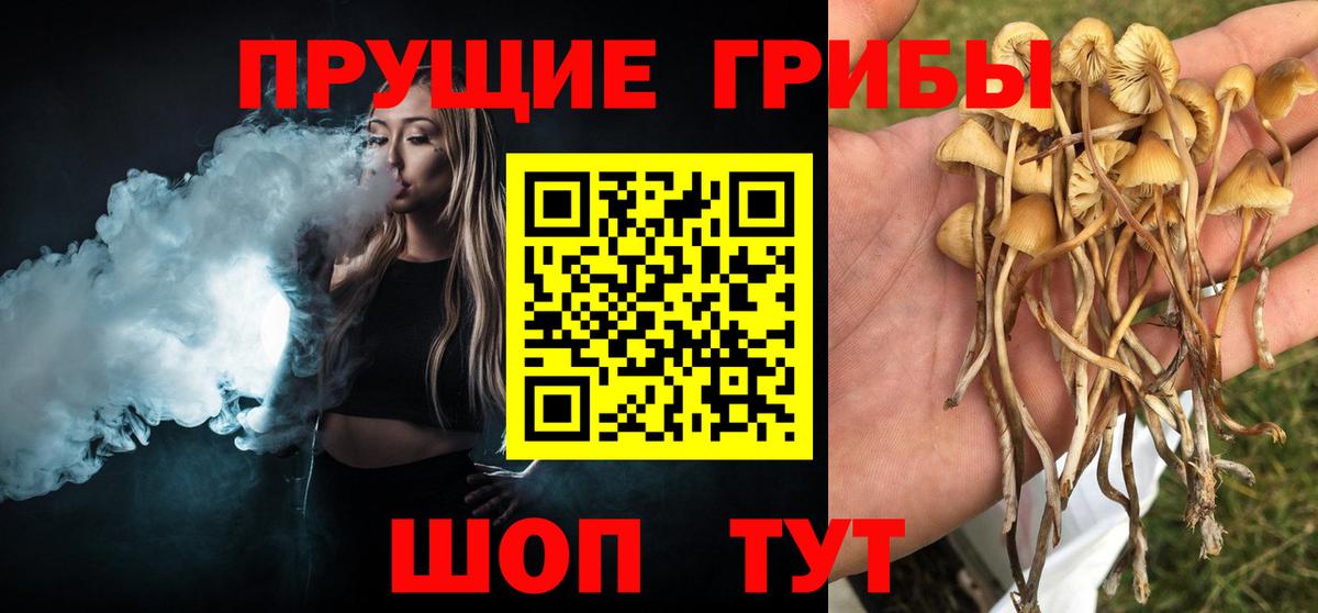 Галлюциногенные грибы мухоморы Красноуфимск